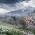 STIŽE naglo zahlađenje u naše krajeve. Čubrilo upozorava na kišu, sneg i mraz, preti opasnost i voću