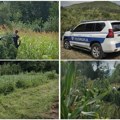 Preneo telo ubijenog komšije u drugo selo da bi pobegao iz Srbije: nastavljeno suđenje za ubistvo kod Svrljiga