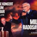 Pomera se koncert Milančeta Radosavljevića u Nišu: Koncert u Čairu 2. decembra