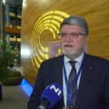 Picula: Neko ko teži ka EU, ne može da ide na Putinovu paradu