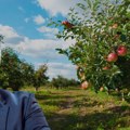 Aleksandar napustio Nemačku i uložio 750.000 evra u Srbiju