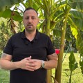 Banane rađaju u Svrljigu: kako Marko Miladinović uspeva da tropsko voće uzgoji u dvorištu Srbije [VIDEO]