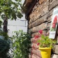 Stara šupa i zelenilo na sve strane: Dragana Mićalović pokazala kuću u Leskovcu: Ovde uvek nalazi mir (foto)