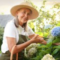 Ova bilja je neuništiva, žega i sunce joj ne mogu ništa: Ljudi je masovno sade umesto hortenzija i ruža i baš svima uspeva!…