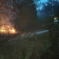 Šest požara aktivno u Srbiji: Najveće snage angažovane na Deliblatskoj peščari