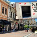 Alarm u Nišu zbog čopora pasa! Gradski većnik za Kurir televiziju otkrio šta se dešava na obodima grada: "Ne smemo da…