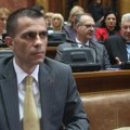 Milićević: Na Vidovdanskom saboru pričaćemo o temama važnim za dijasporu