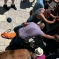 Horor u grčkoj Zbog zarade terali konja da prevozi turiste po najvećoj vrućini, bičevali ga do smrti