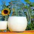 Proizvođači mleka strahuju od prekomernog uvoza
