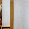 IPSOS: Prelimirani rezultati izbora u Nišu