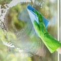 Šampon nije samo za kosu: Evo šta se desi kada njime operete prozore