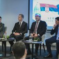 Starović: Srbija i dalje blokirana u otvaranju Klastera 3 uprkos preporuci Evropske komisije