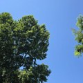 Upozorenje na dugotrajan toplotni talas: Temperature i do 40 stepeni, vrhunac početkom avgusta
