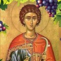 Danas je Sveti Trifun, praznik vinogradara