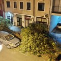 Stručni skup o rekonstrukciji zelene infrastrukture u gradovima