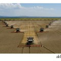 Fabrika pod otvorenim nebom: Kako Al Dahra Srbija uvodi ai i regeneraciju u poljoprivredu