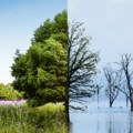 EU upozorava da klimatske promene i zagađenje prete resursima