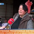 Bundeve 150 dinara, jaja 17, čvarci 1.300, a mast 200! Potrošačka korpa vs. prosečna plata: Ovo su cene na pijacama (video)