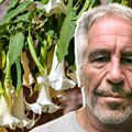 Novi šok iz Epstajnovih fajlova: Milijarder se interesovao za biljke koje pretvaraju ljude u "zombije"?!