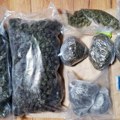 Uhapšen diler u centru Beograda, policija upala u stan i pronašla 2,5 kg marihuane: Evo šta su još otkrili