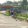 "Tamiš" Pančevo najstarije aktivno ribolovačko udruženje u Srbiji
