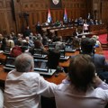 Poslanici protiv diskrecionog prava za izdavanje dozvola za oružje, ministar navodi da postoji žalba