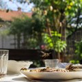 Ni otrov ni skupa zamka: Ovaj jeftin trik može pomoći da oterate ose iz dvorišta