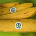 Banane sa žigom zelene žabe neće nikoga ubiti, taj logo označava hranu odgajenu u zdravom okruženju, a ne otrovnu kako…