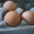 Raste uvoz jaja u Hrvatsku, peradari u strahu zbog ukrajinskih investicija
