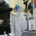 Šebek (RIK): Ministarstvo ne dostavlja podatke o broju glasača u inostranstvu, zamajavaju nas