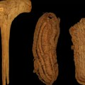 FOTO: Ovo su najstarije sandale u Evropi, otkrivene u španskoj pećini slepih miševa