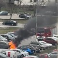 (Video) Vatra kulja, crni dim se širi! Gori auto na Novom Beogradu, vatrogasci na terenu