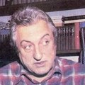 Biblioteka celina Branka V. Radičevića