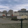 Invazija meduza zaustavila rad najveće nuklearne elektrane u Zapadnoj Evropi