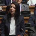 Toni Bler i sada radi za Vučića: Tepićka isprozivala naprednjake (video)