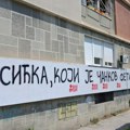 Grafiti mržnje na Limanu u Novom Sadu: Nastavlja se targetiranje profesorice Marije Vasić