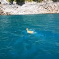 Nesvakidašnja životinja preplivala jezero! Nestvarne prizore na Pivskom jezeru uhvatili posetioci: Pogledajte kako je izgledao…