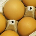 Jeli kontaminirana jaja domaće proizvodnje! Opasna bakterija napravila haos: Najmanje 13 osoba u Španiji obolelo od…