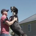 Najviši pas na svetu je jedna ogromna kukavica