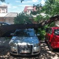 Pukla grana u centru Zaječara: Oštećena dva vozila