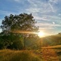 Koliba Milićevića na Gledićkim planinama idelano mesto za prvi prolećni piknik