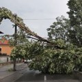 Udario vetar orkanske snage, toliko jak da obora stabla! Nemile scene u ovom mestu u Srbiji
