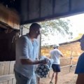 (VIDEO) Nikola Jokić uz pivo sa timom u štali proslavio pobedu svog konja