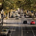 Дрвеће спасава животе – сеча зрелог дрвећа злочин који се скупо плаћа