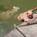 (Uznemirujući video) "Nije mogao ni da vrišti" Jeziv snimak napada iz dubine: Čuvar se očajnički borio za život