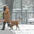 Zimska idila: Nestvarni prizori na ulicama Beograda (foto)