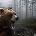 Medved lovio ženu po šumi, psi pronašli njeno telo: Zver naletela na nju tokom šetnje, jedva su ga oterali hicima…