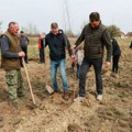 Zasađeno 200 sadnica: Akcija pošumljavanja u Novim Kozarcima kod Kikinde