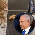 (VIDEO) Stotine crva i insekata u hotelu u kom odseda Netanjahu