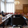 Brnabić sa predsednicom kiparskog parlamenta o stabilnosti, miru i saradnji